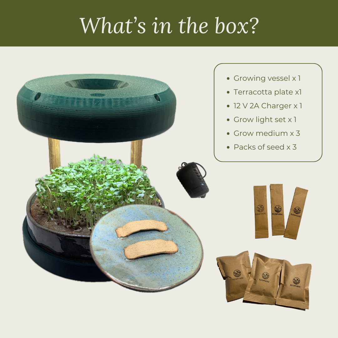 Ecoponic Deluxe: Ecoponic Modern + 1 extra Ecoponic growing vessel + 5 months seed subscription