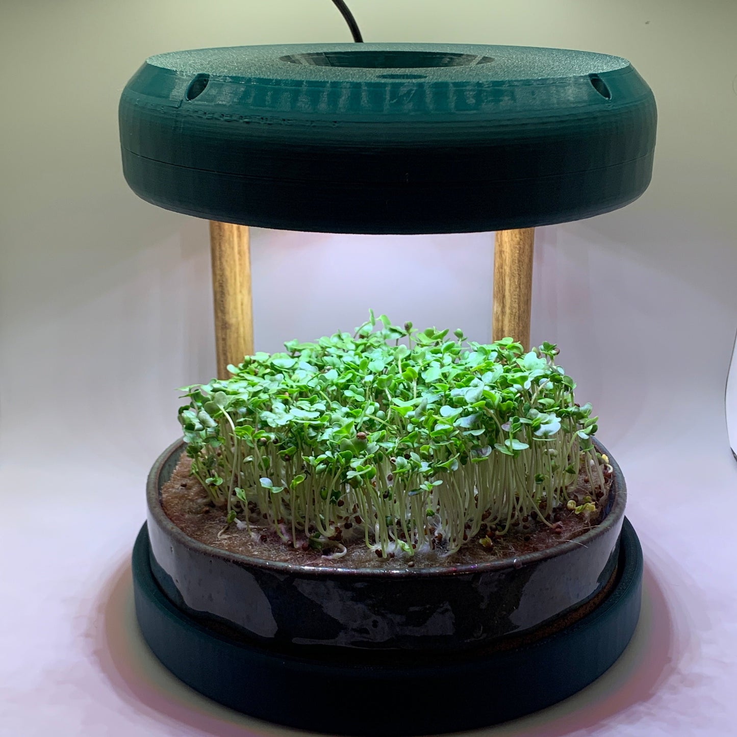 Ecoponic Deluxe: Ecoponic Modern + 1 extra Ecoponic growing vessel + 5 months seed subscription